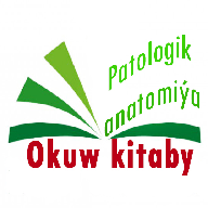 Patologik anatomi&yacute;a: okuw kitaby