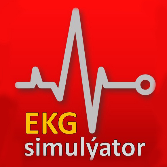 EKG simul&yacute;ator