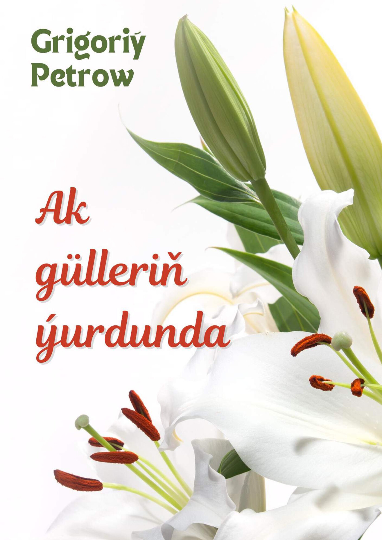 AK GÜLLERIÑ ÝURDUNDA