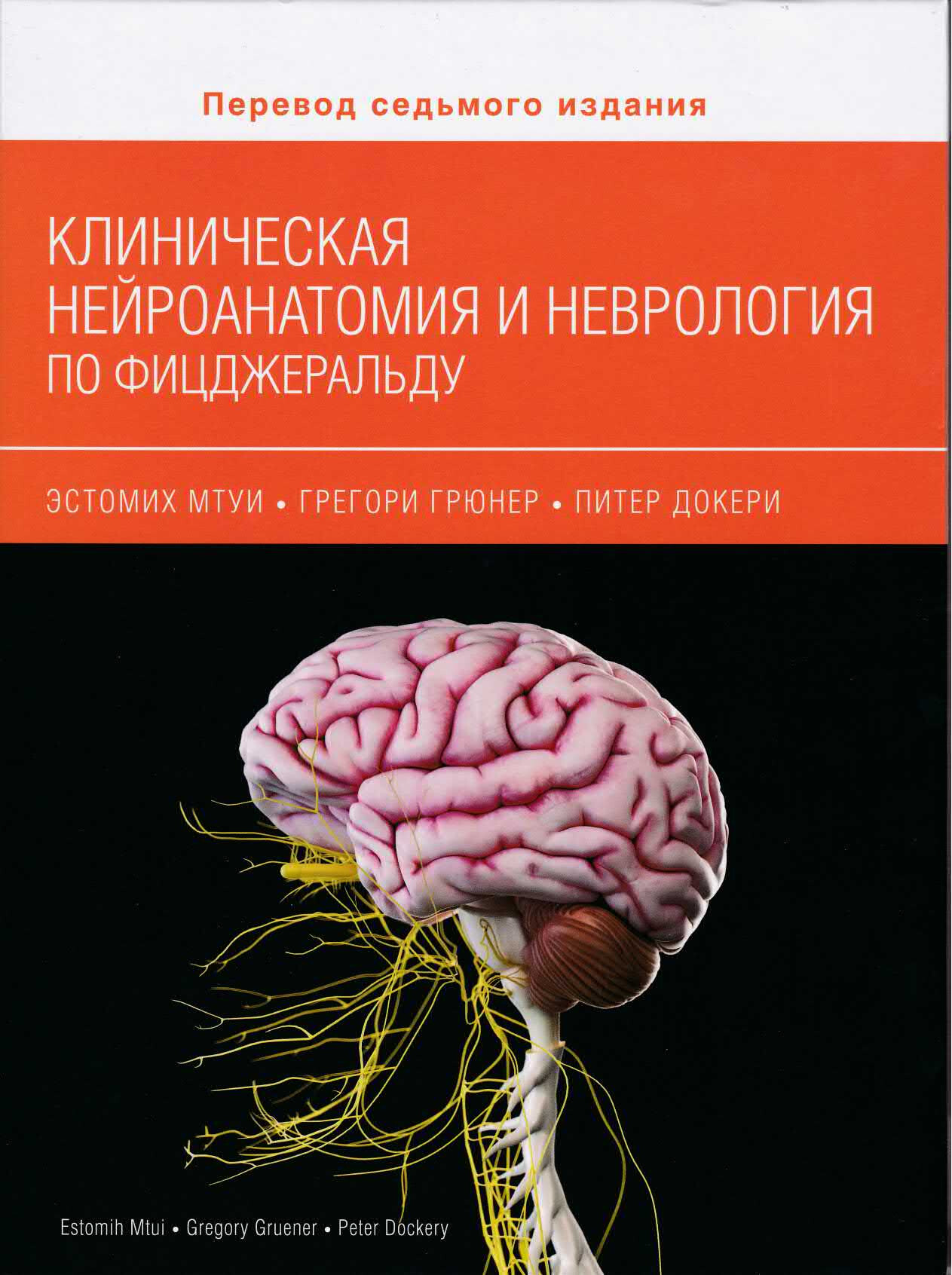 КЛИНИЧЕСКАЯ НЕЙРОАНАТОМИЯ И НЕВРОЛОГИЯ ПО ФИЦДЖЕРАЛЬДУ