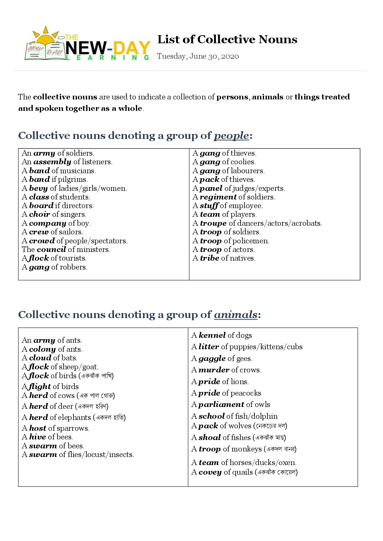 COLLECTIVE NOUN