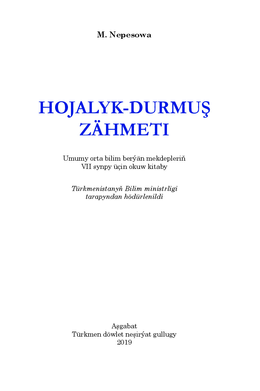 Hojalyk Durmuş ZäHmeti Vii Synp   2019