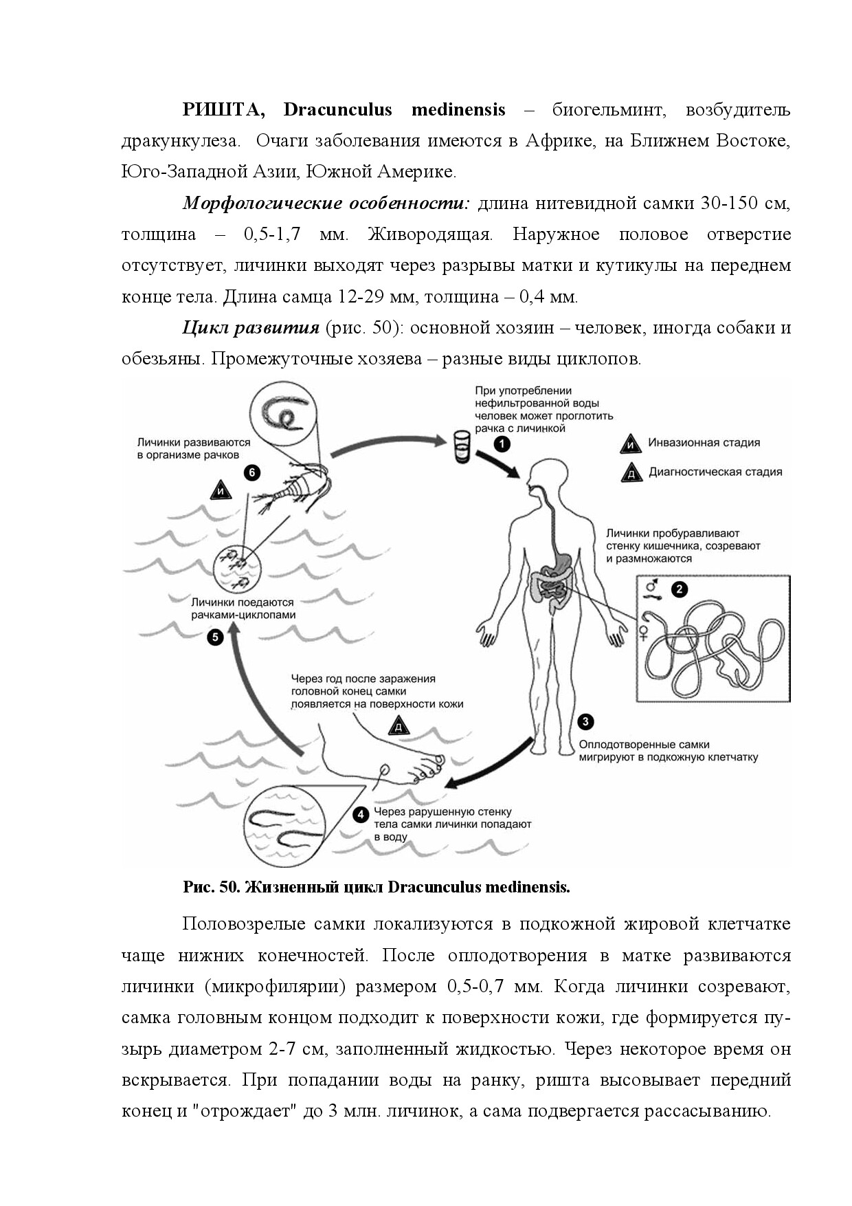 РИШТА (DRACUNCULUS MEDINENSIS)