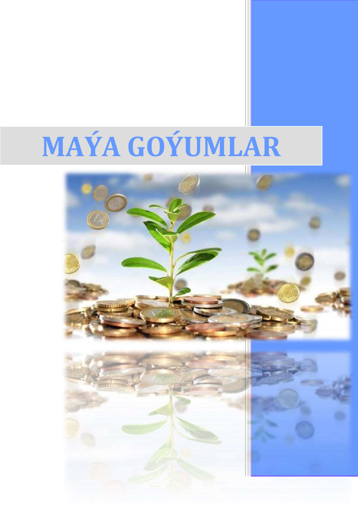 MAÝA GOÝUMLAR 773 BLG