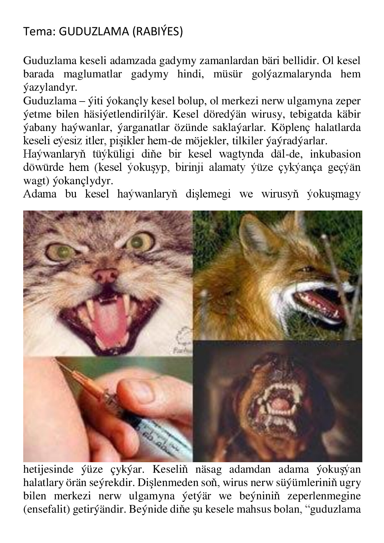REFERAT GUDUZLAMA