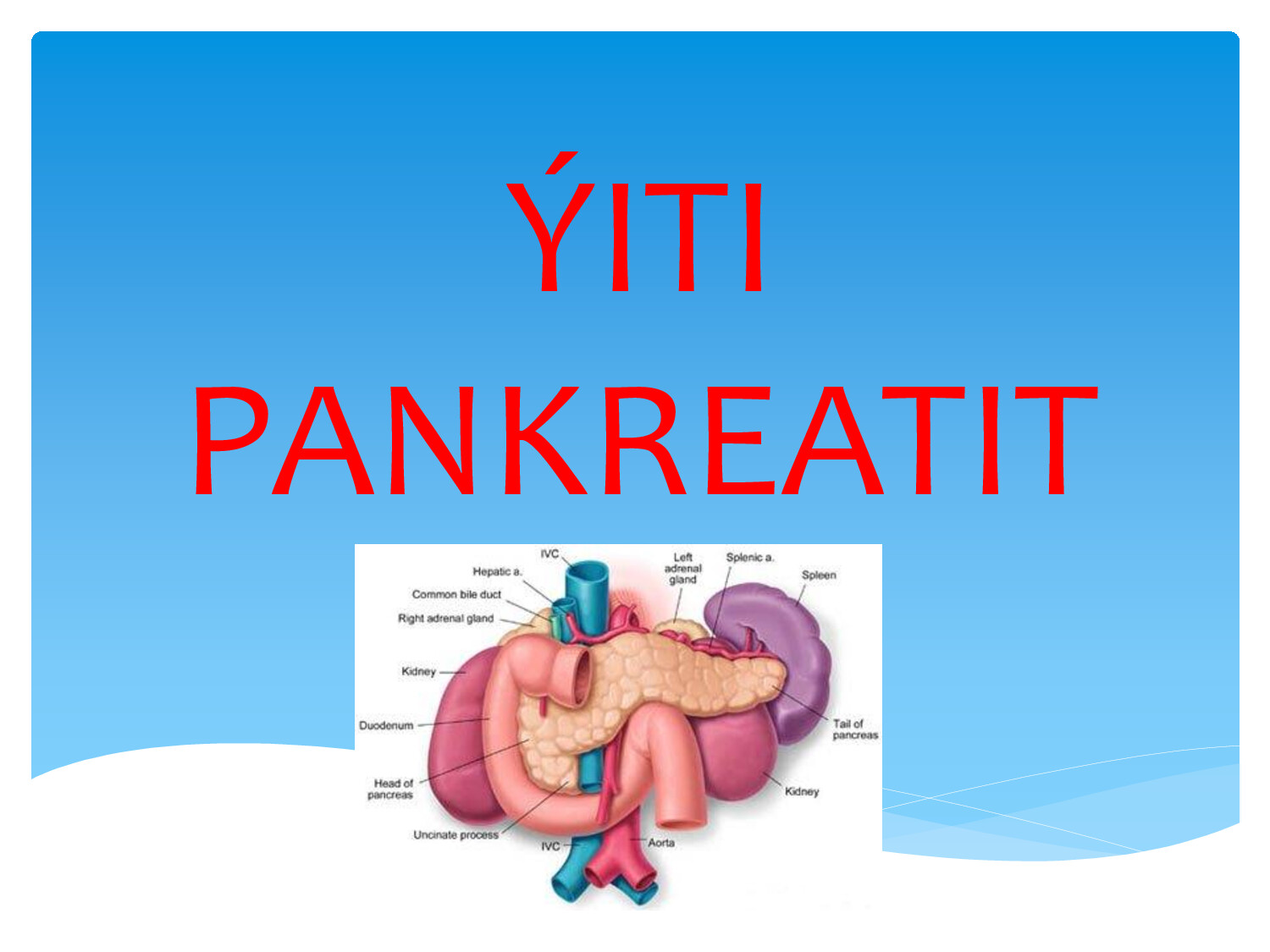 YITI PANKREATIT