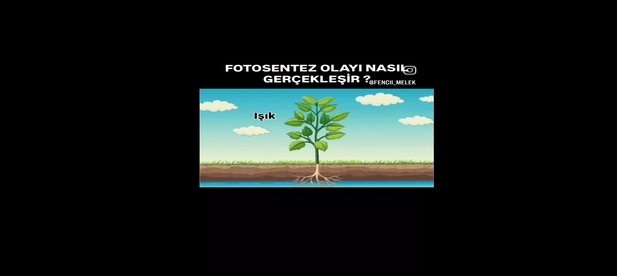 fotosintez hadysasy