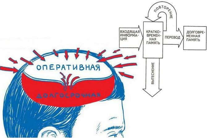 Виды памяти и их характеристика