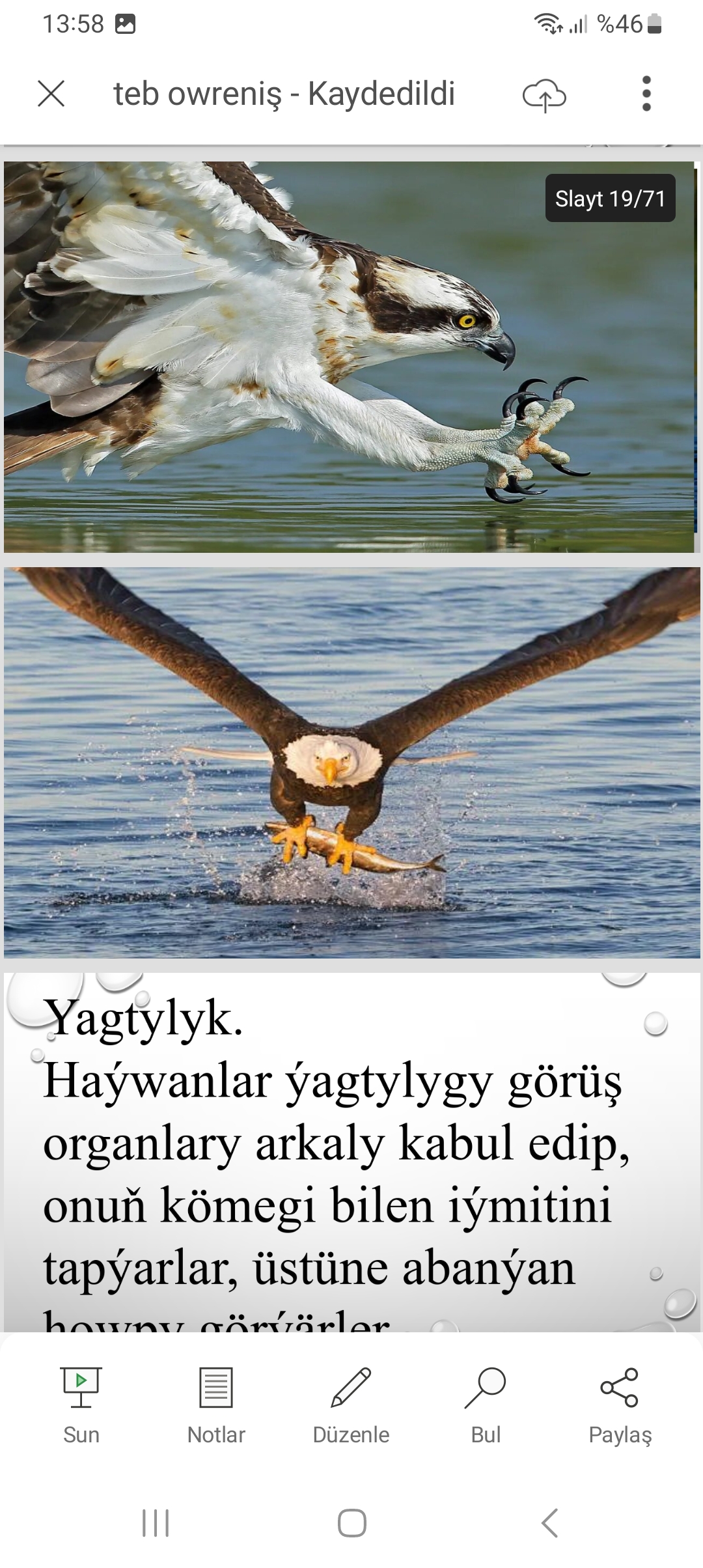 Guşlar biziň dostumyzdyr