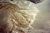 Landforms