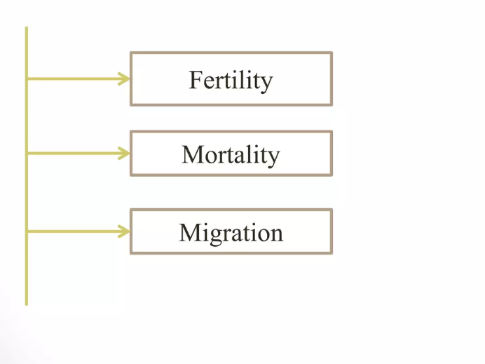Definition, Nature and Scope of Population RANJIT DAS