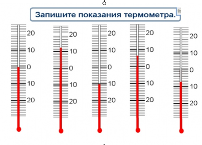 koordinata goni cyzygy