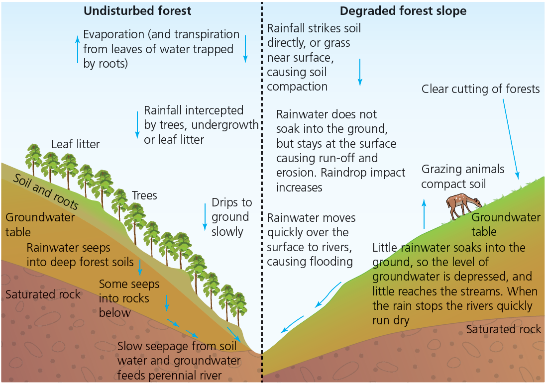 2.1.4 Precipitation and excess runoff