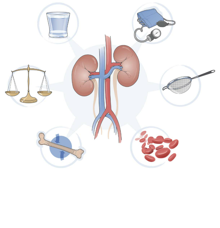 Böwrek ýetmezçiligi