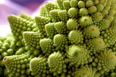 Geometry in Nature