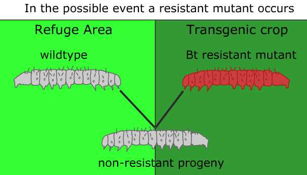 Advances in Genetics
