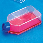 Cell And Tissue Culture