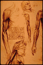Leonardo da vinci