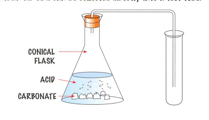 Lab Experiment