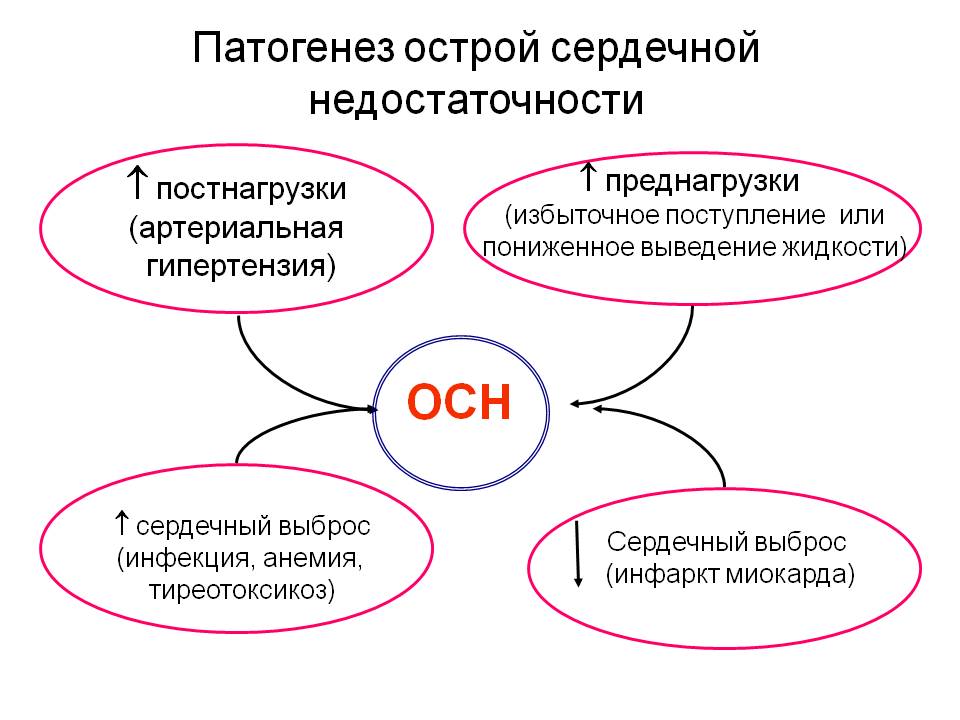 ОСН. Лекционный материал.