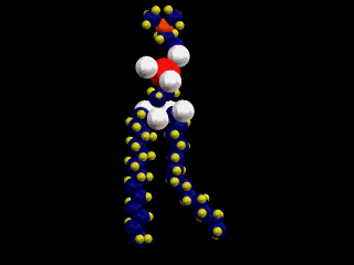 AS Biology cell membranes