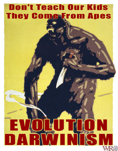 A Brief History of Life