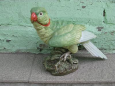 silikat senagat