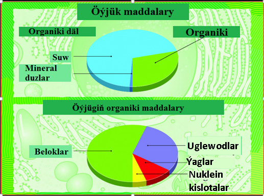 1.Öýjügiň himiki düzümi. Organiki däl maddalar.